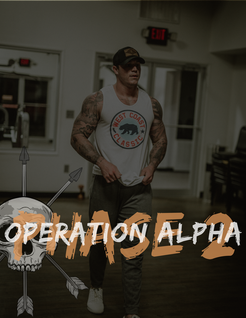 Operation Alpha Phase Two