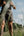 MEN'S | HYBRID SHORT