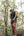 MEN'S | HYBRID SHORT