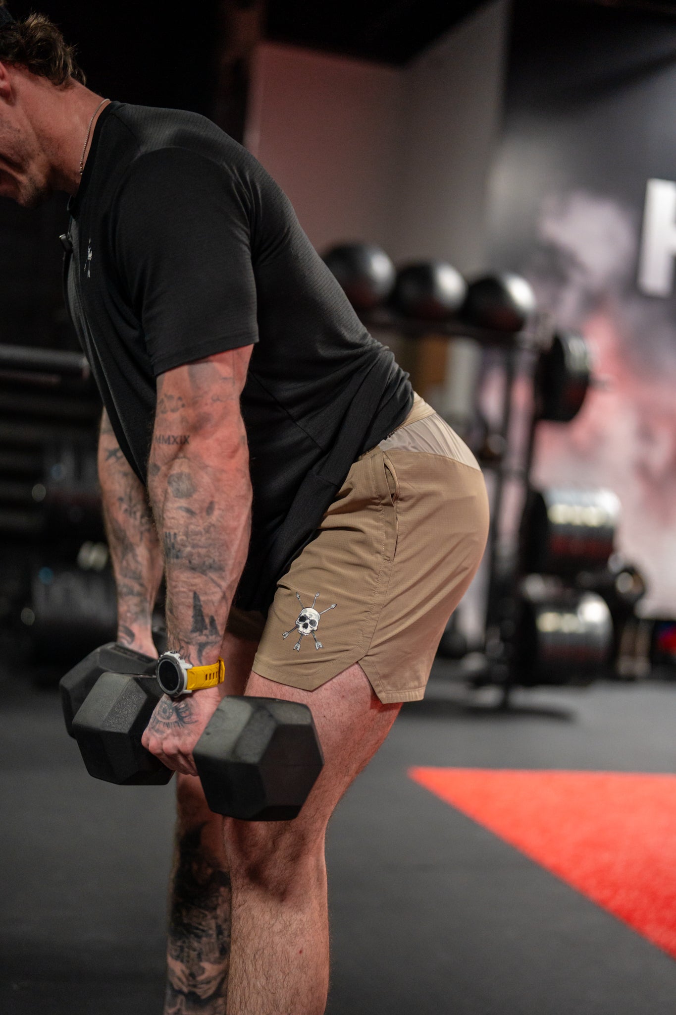 Dumbbells in the gym