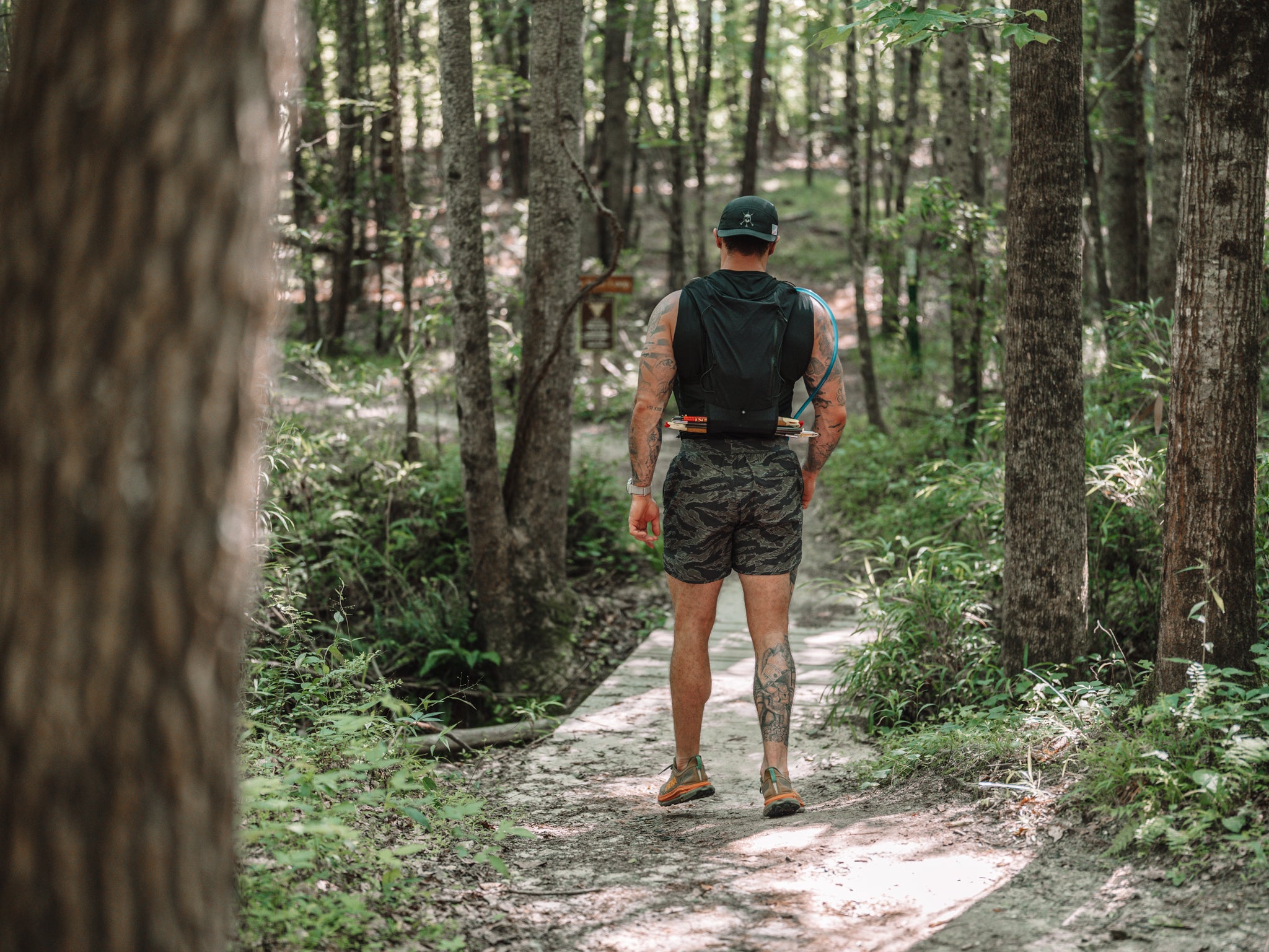 Deep Forest Hybrid Short walking the boardwalk under canopy