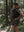 RIDGELINE RUNNING VEST
