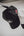 VARSITY CAP : BLACK