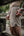 MEN’S | HYBRIFLEX SHORT